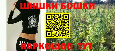 шишки Краснокаменск
