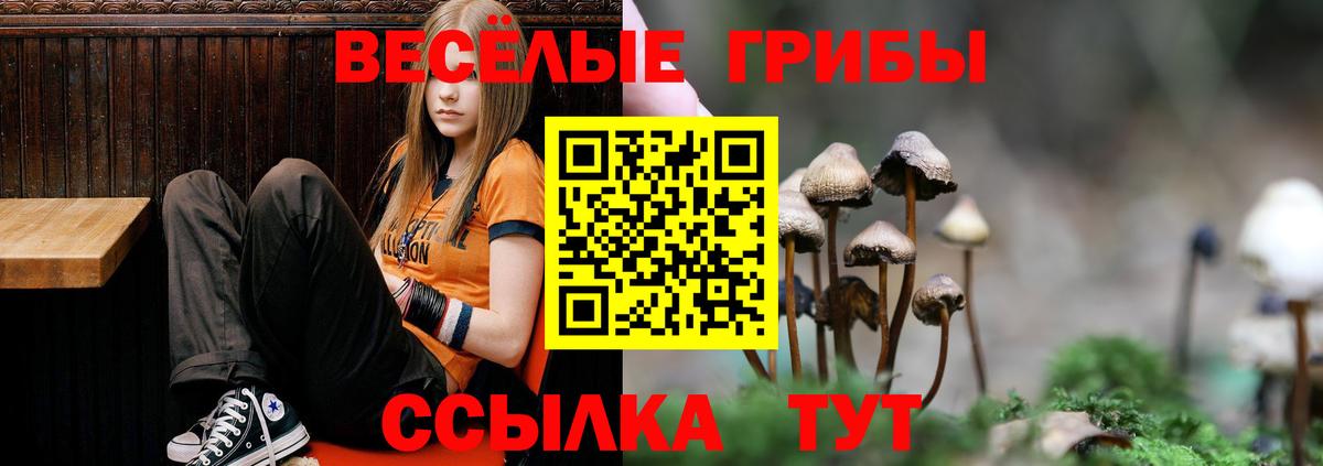 Псилоцибиновые грибы Cubensis Ипатово