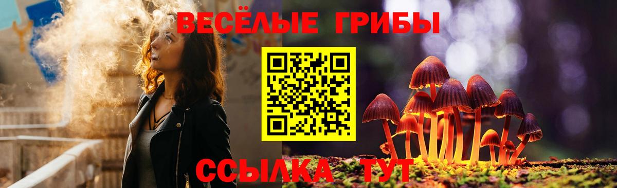 Ипатово  Галлюциногенные грибы GOLDEN TEACHER  Вход с VPN 